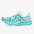 Asics NOOSA TRI 16 