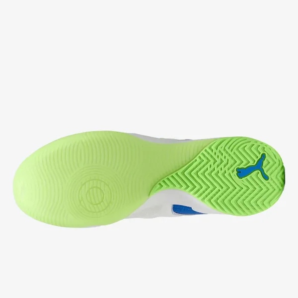 Puma IBERO V 