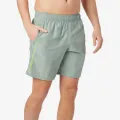 Under Armour UA Tech Woven Wordmark Short 