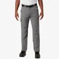 Columbia Silver Ridge™ Cargo Pant 