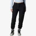 Columbia Back Beauty™ 2.0 Softshell Pant 