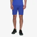 Champion Shorts 