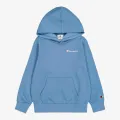 Champion Hooded Sweatshirt 