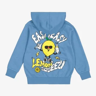 Champion Hooded Sweatshirt 