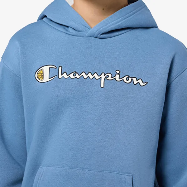 Champion Hooded Sweatshirt 