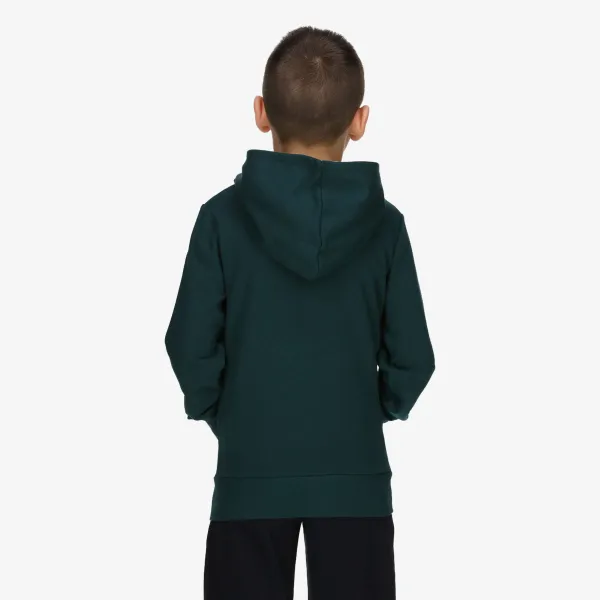 Champion Hooded Full Zip Sweatshirt 