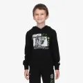 Champion SKATE LIFE HOODY 