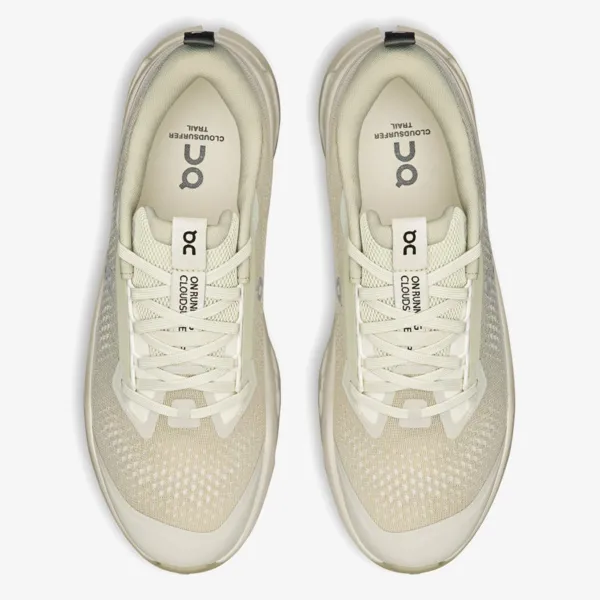 On Cloudsurfer Trail 2 