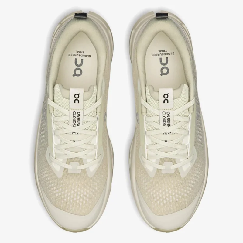 On Cloudsurfer Trail 2 