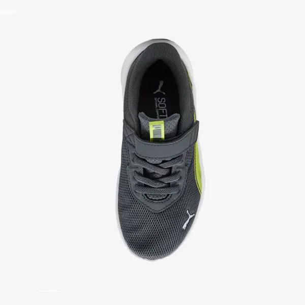 Puma FlexFocus Modern AC+ PS 