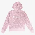 Champion Hooded Sweatshirt 