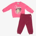 Champion Sweatsuit 