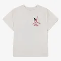 JORDAN JDG MJ GEO BURST FLIGHT 