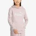 Puma ESS LOGO HOODIE TR G 