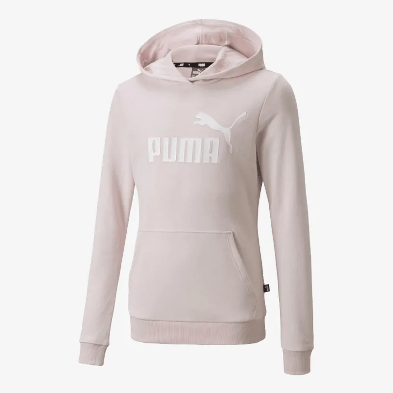 Puma ESS LOGO HOODIE TR G 