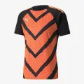 Puma TEAMLIGA GRAPHIC JERSEY 