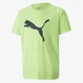Puma INDIVIDUALRISE LOGO TEE JR FIZZY LIGHT-P 