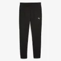 Puma PUMA EVOSTRIPE Pants DK op 