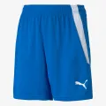 Puma TEAMLIGA SHORTS JR 