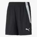 Puma TEAMLIGA SHORTS JR 