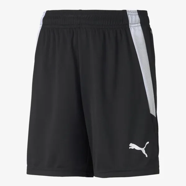 Puma TEAMLIGA SHORTS JR 