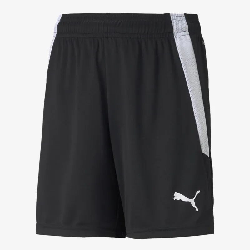 Puma TEAMLIGA SHORTS JR 