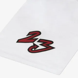 JORDAN Dynasty Patch 