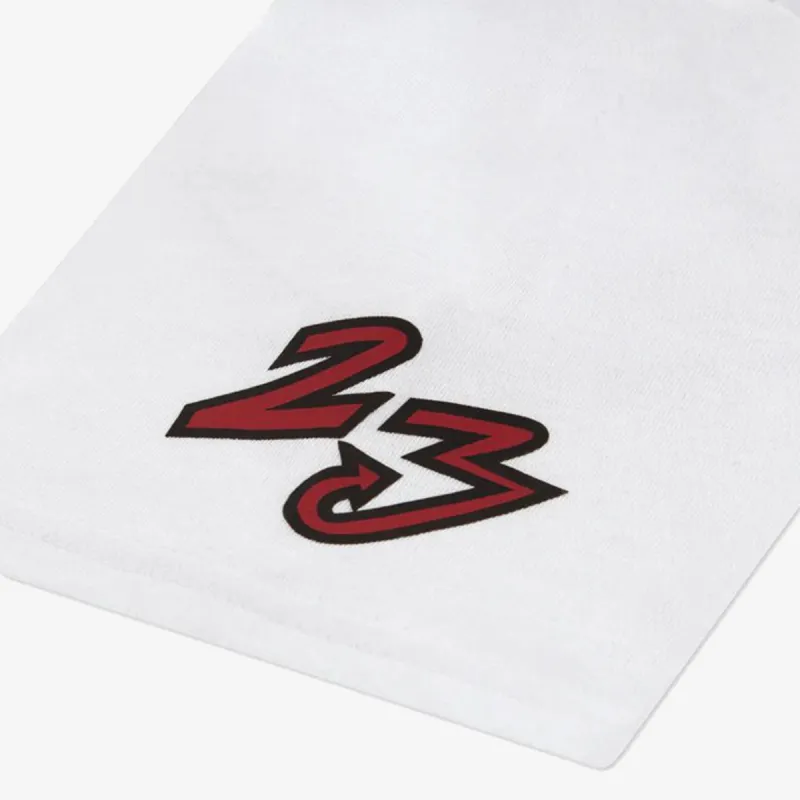 JORDAN Dynasty Patch 