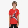 JORDAN JDB JUMPMAN HBR HAZE OUT  S/S 