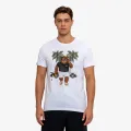 Buzz Macho Luxury 