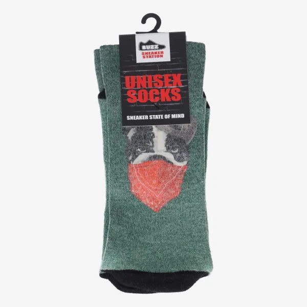 Buzz BULLDOG SOCKS 