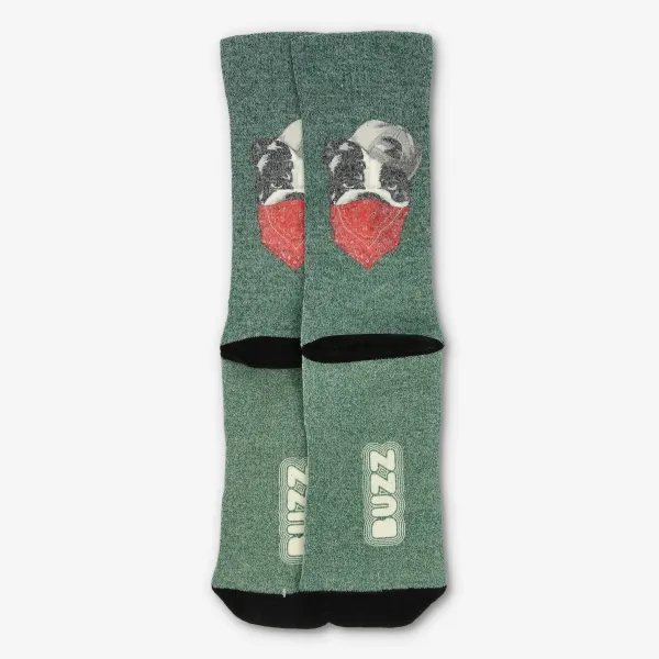 Buzz BULLDOG SOCKS 
