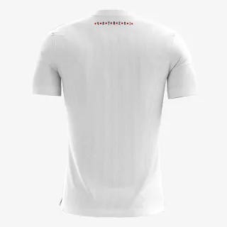 Nike M NK DF PARK20 SS TEE HBR 