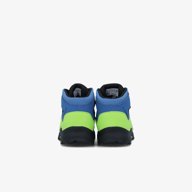 Adidas TERREX MID GTX I 