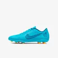 Nike VAPOR 14 CLUB FG/MG 