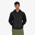 DOT Mens 