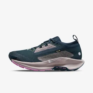 Nike Pegasus Trail 5 Gtx 