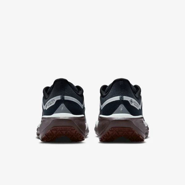Nike W AIR ZM PEGASUS 41 GTX 