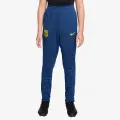 Nike FCB Y NK DF STRK PANT KPZ SE 