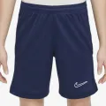 Nike Academy 25 
