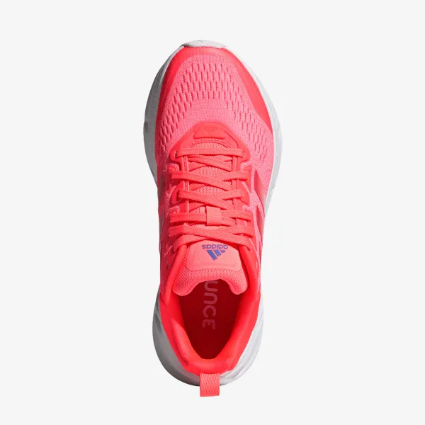 Adidas QUESTAR 