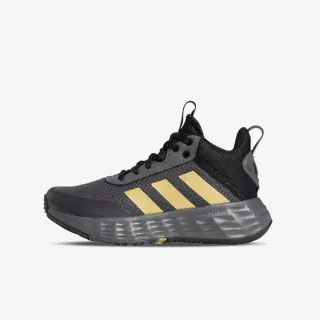 Adidas Ownthegame 2.0 