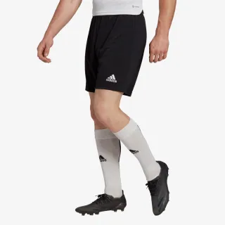 Adidas Entrada 22 