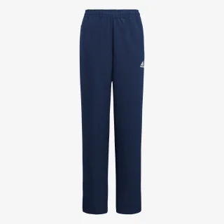 Adidas ENT22 PRE PNT Y 