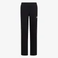 Adidas ENT22 PRE PNT Y 