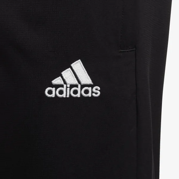 Adidas ENT22 PRE PNT Y 