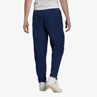 Adidas ENT22 PRE PNT 