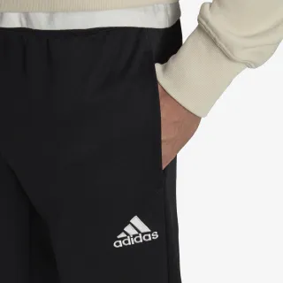 Adidas ENT22 TR PNT 