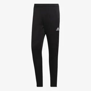 Adidas ENT22 TR PNT 