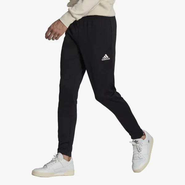 Adidas ENT22 TR PNT 